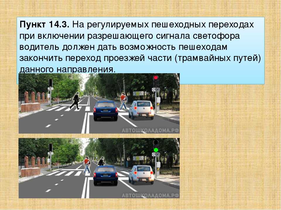 Дорожный знак пешеходный переход: правило, зона действия, установка, переход запрещен, желтый, красный цвет, размер, что объединяет их