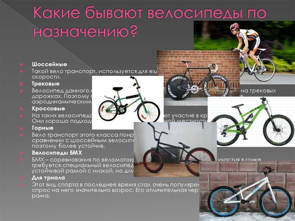 Как отличить велосипеды. Виды велосипедов. Классификация велосипедов. Велосипеды по видам. Велосипеды по типу.