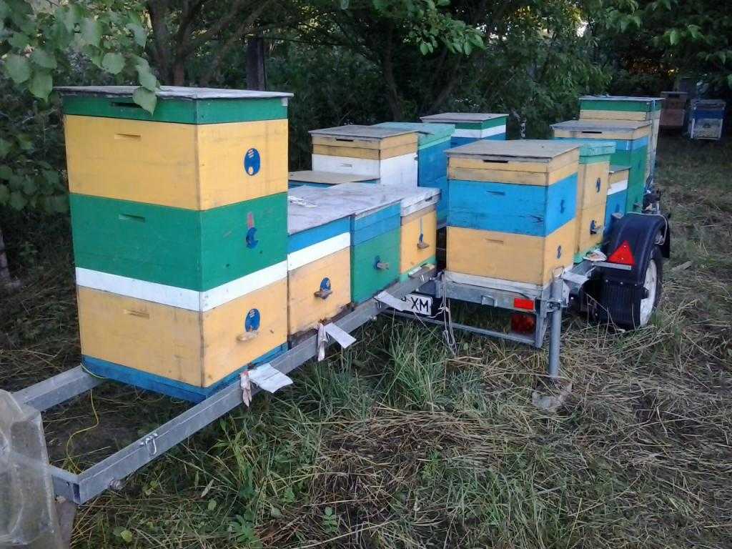 Как сделать прицеп для перевозки пчел