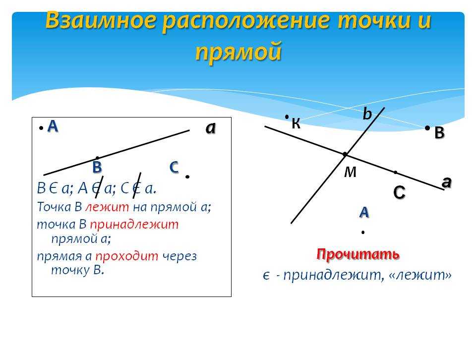 Основное свойство точек на прямой. Как определить взаимное расположение прямой и точки. Взаимное расположение точек и прямых на плоскости. Взаимное положение точки и прямой. Точка прямая взаимное положение прямых.