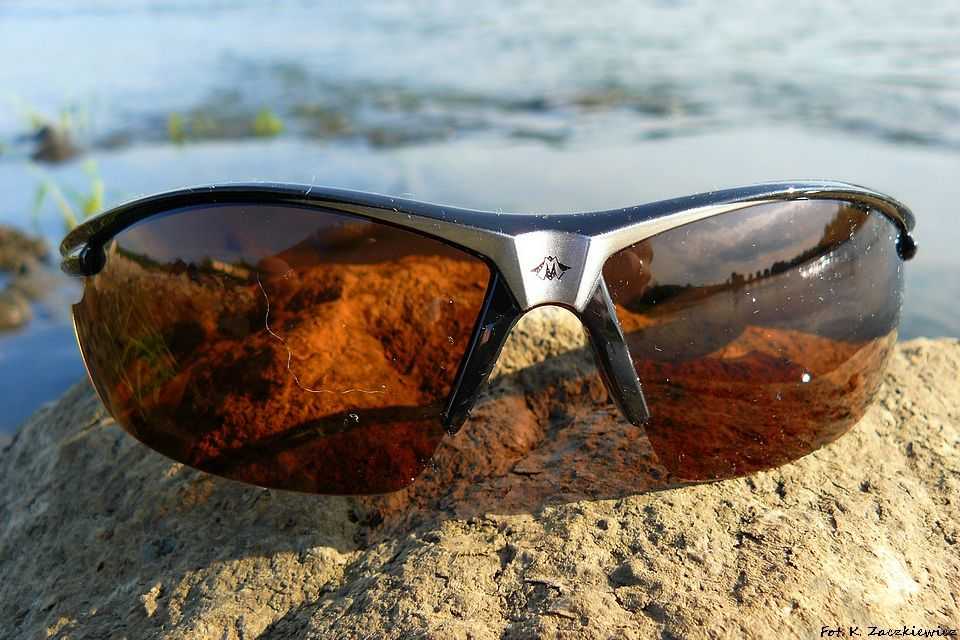 Солнцезащитные очки с поляризацией (поляризационные очки): что это, кому нужны, как выбрать и где купить